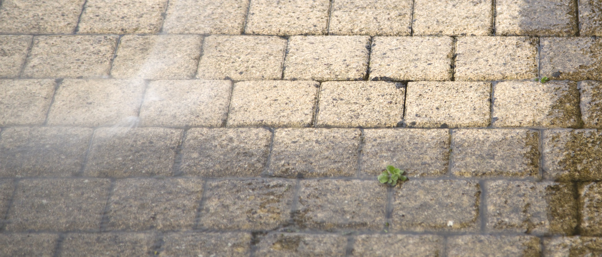 flagging and patios SW18