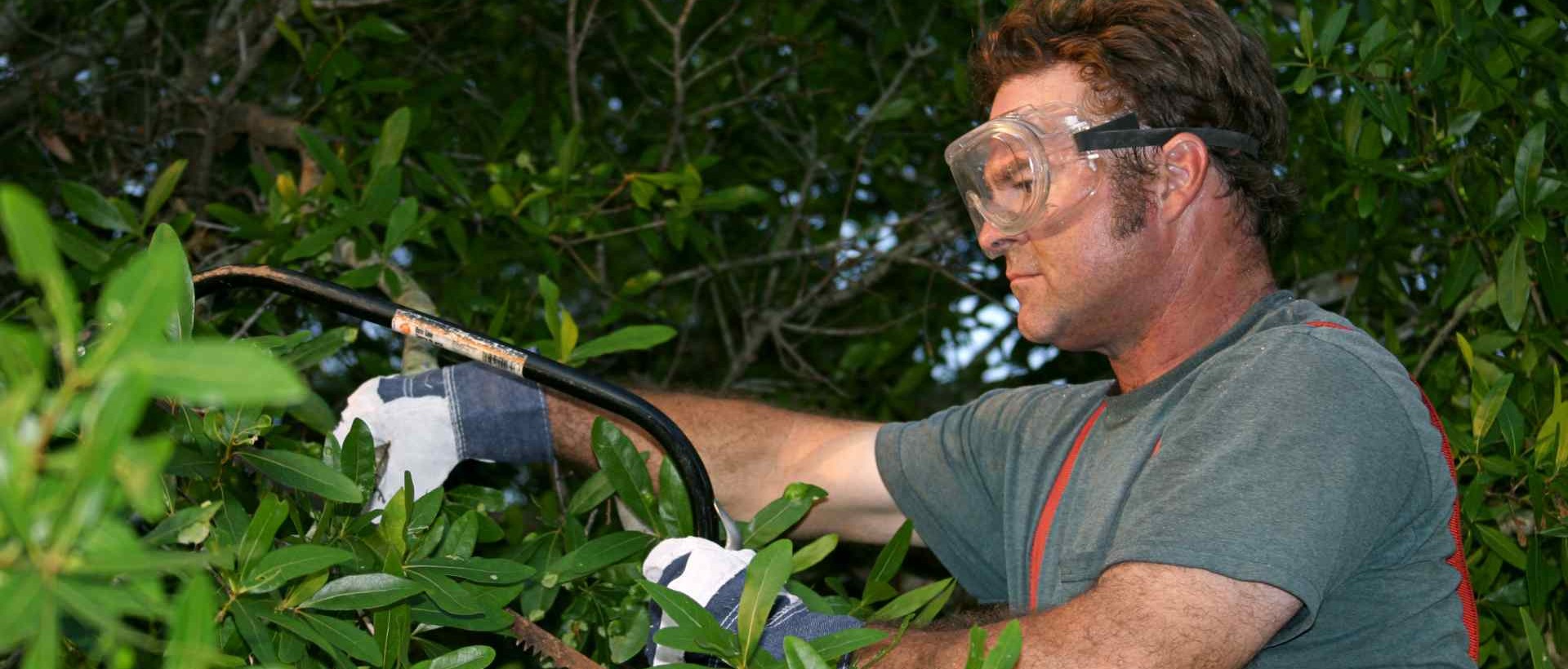 garden clearance SW18